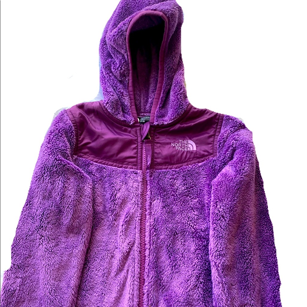 Toddler North Face Fuzzy Jacket